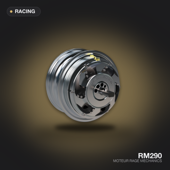 Moteur RM290