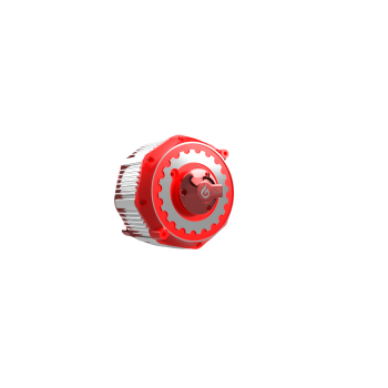 RM30 Motor Sur-Ron Light Bee