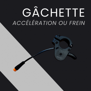 Leva acceleratore o freno elettrico 370X