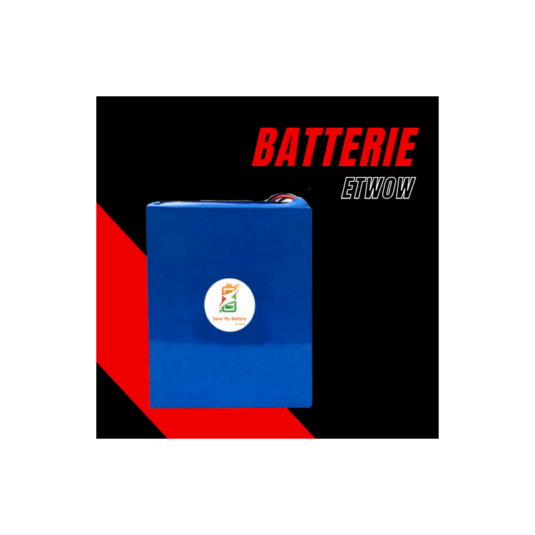 Etwow GT Performance 52V 9Ah Battery (Molicel P45B)