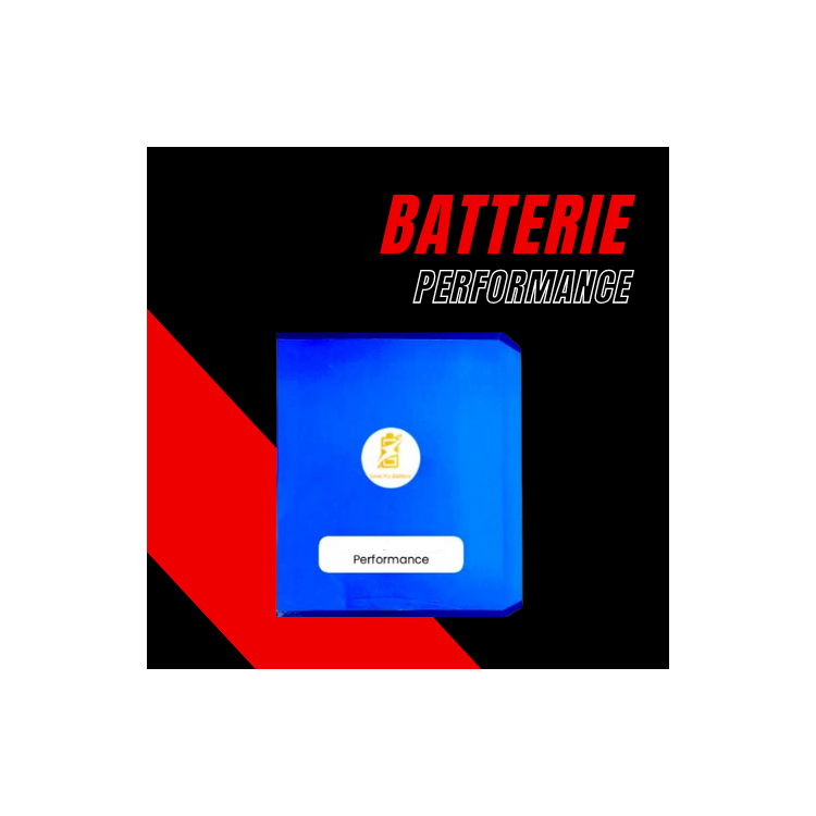 Performance Battery 60V 40Ah Weped GTS/SSGT