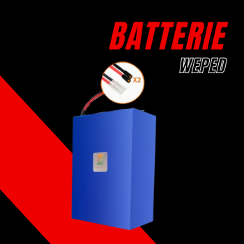 Batteria 60V 50Ah Weped GTS/SSGT