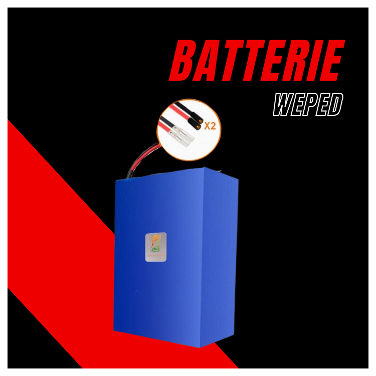 Batteria 60V 50Ah Weped GTS/SSGT