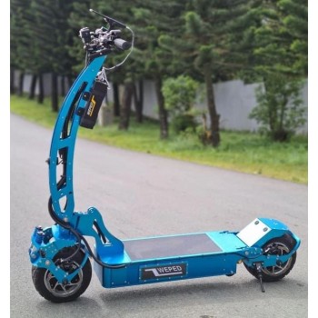 Motore Weped FS