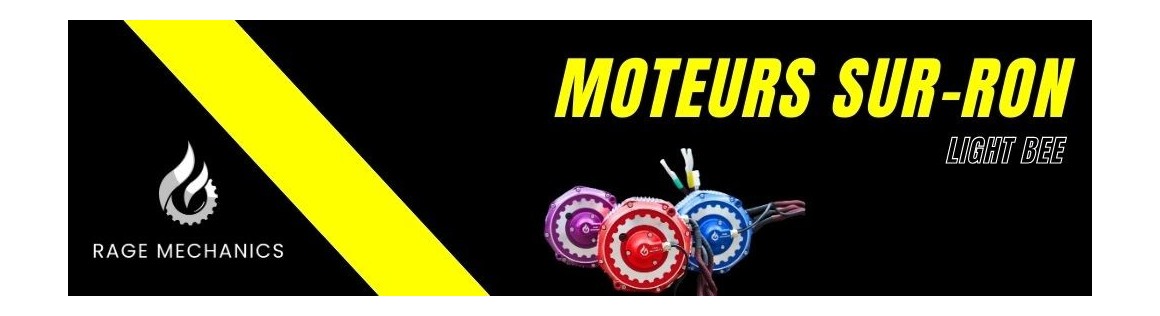 Sur-Ron Light Bee Motors