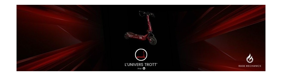ELECTRIC SCOOTER